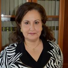 Dr. Despoina Anagnostopoulou, Professor, University of Macedonia, Academic Chief Officer for ThessISMUN (2025-).